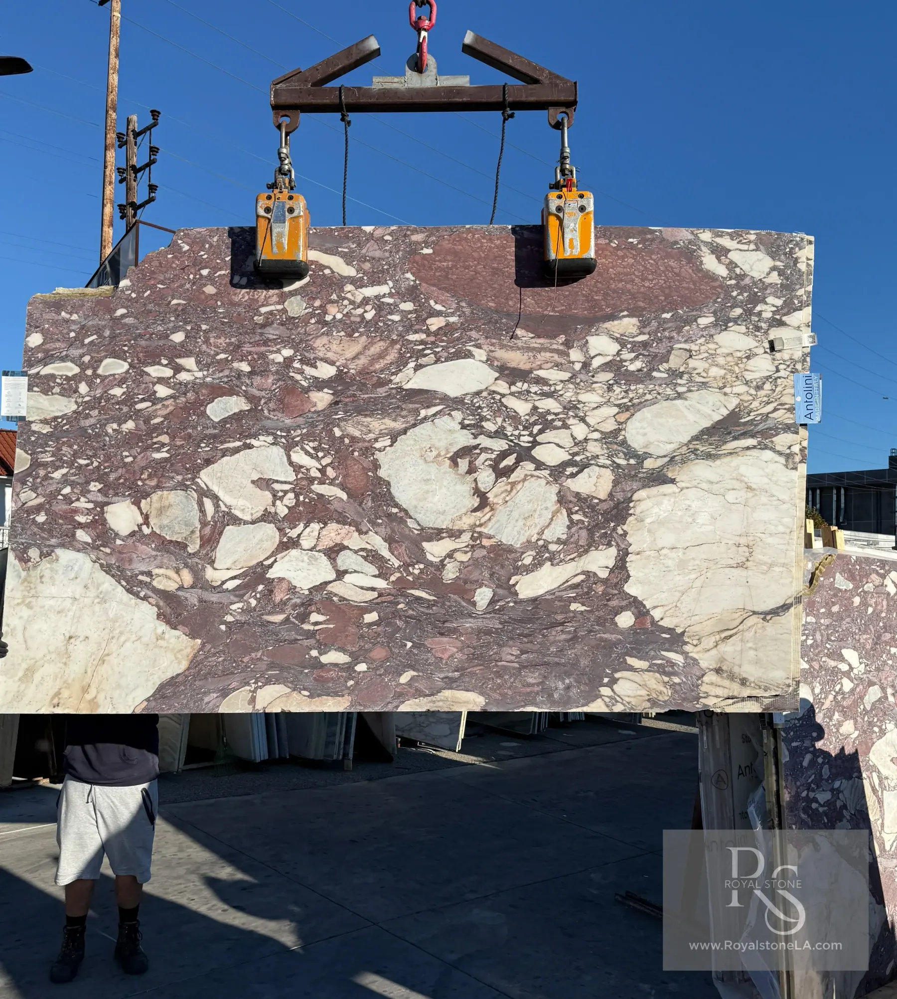Antolini Calacatta Viola Brecciato WOW honed marble slab at Royal Stone, white field with angular burgundy fragments