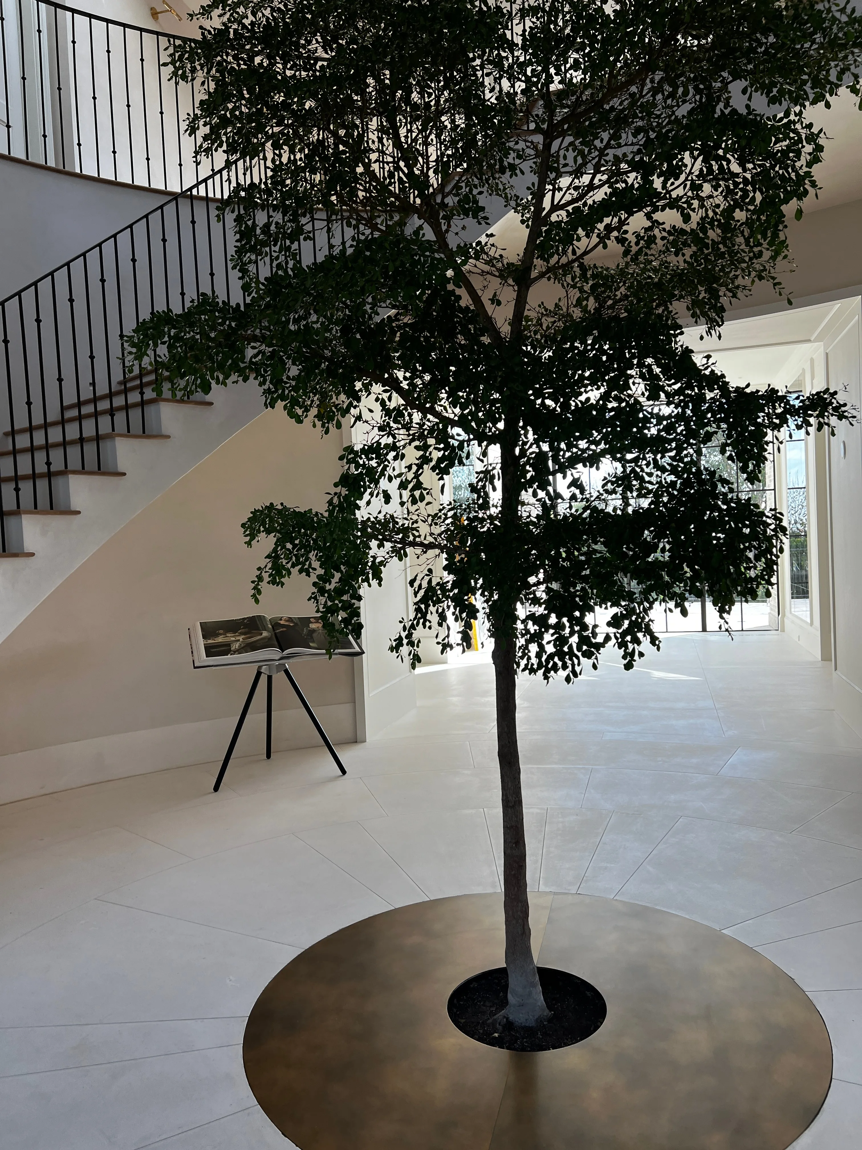 Quiet-finish limestone tile installed as a large-format floor in a Los Angeles residence lightwell, with a feature tree set into a brass planter and a cantilevered iron-baluster staircase reading against the pale stone